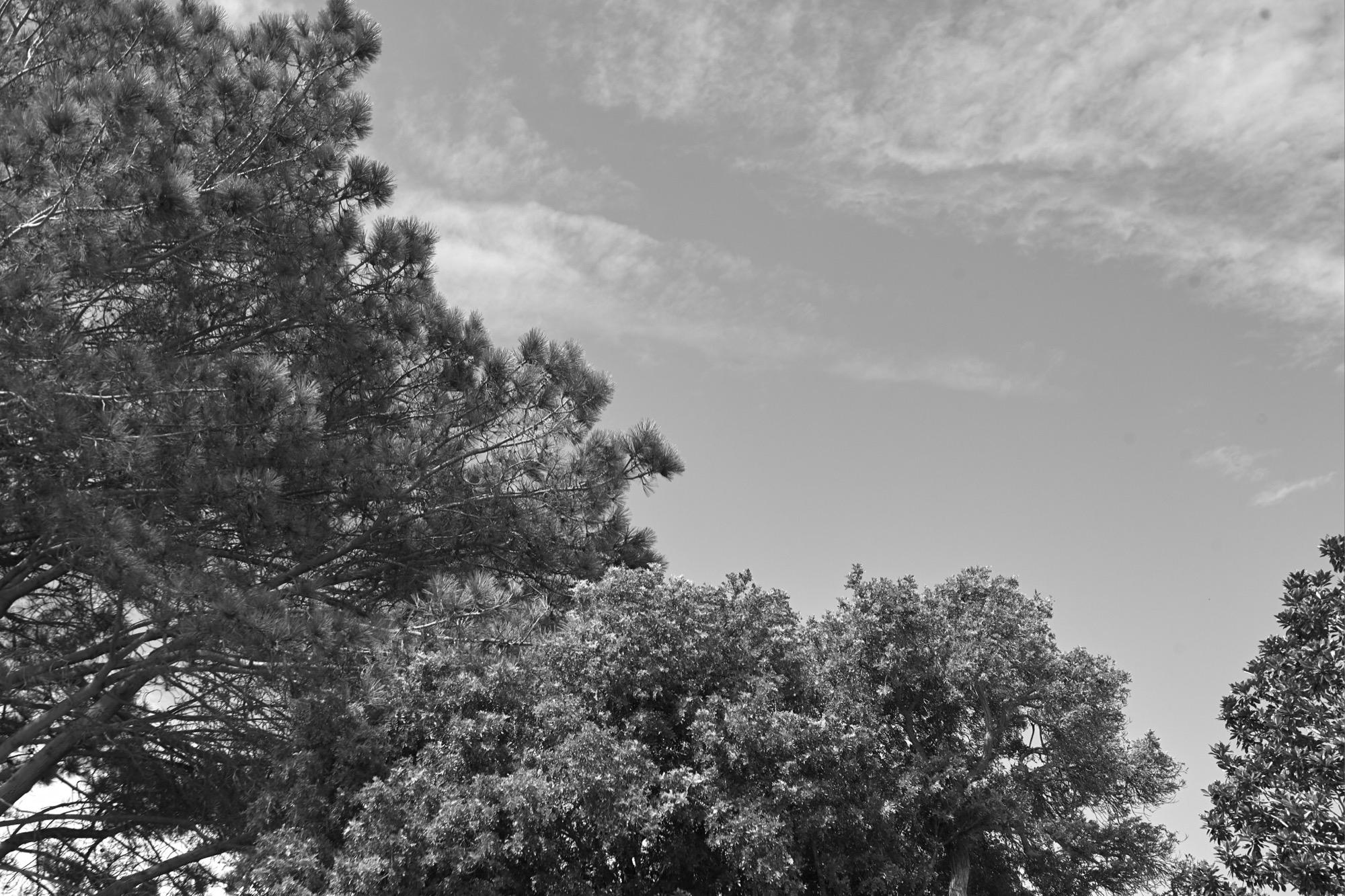 Featured photograph by Henry Holt