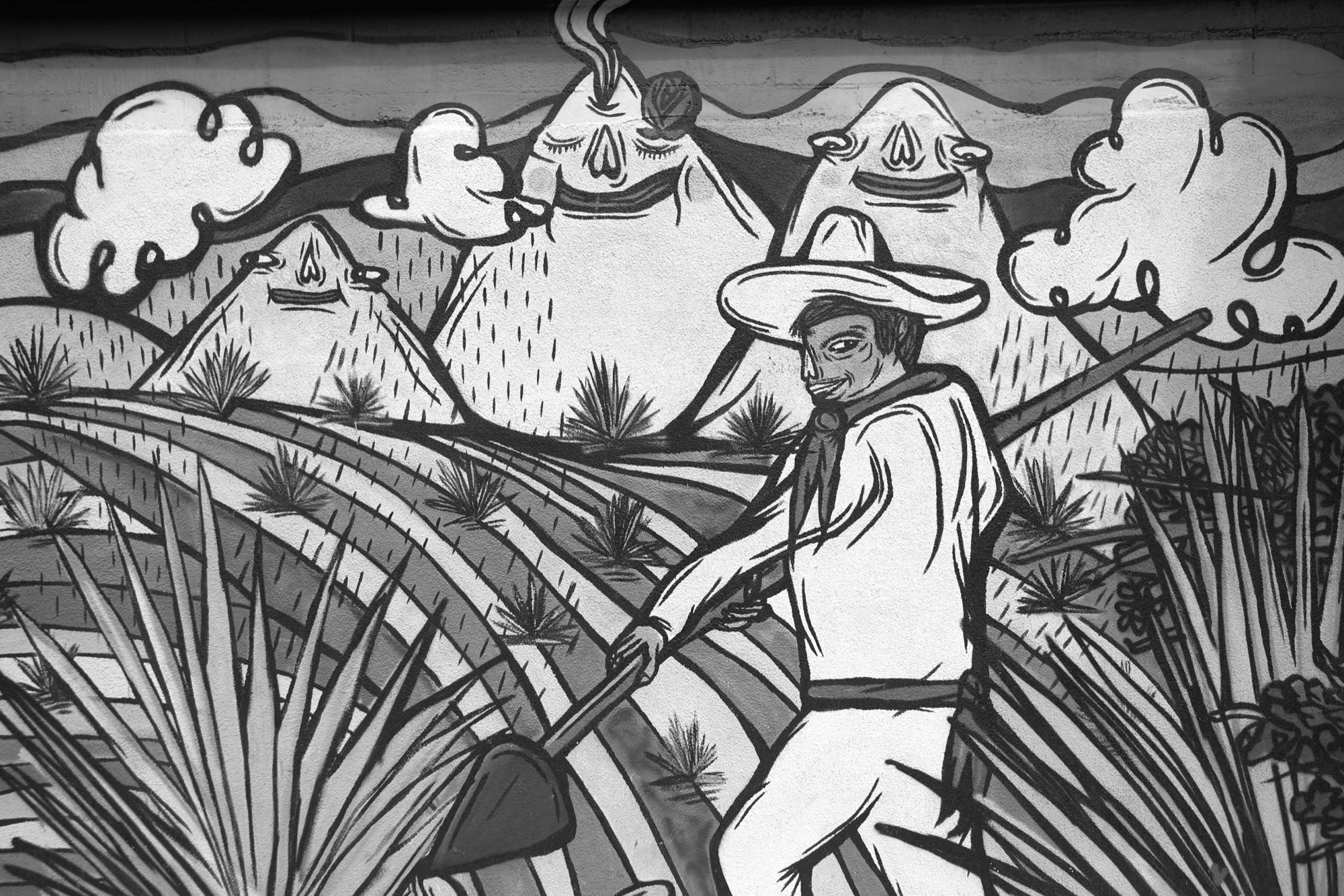 Ocean Beach - Image 17