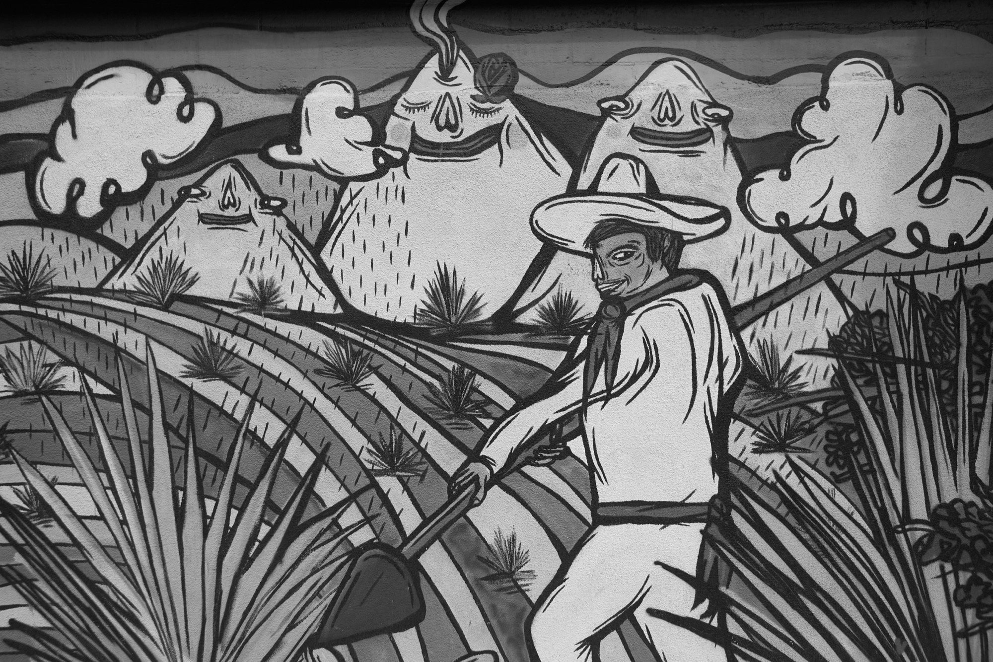 Ocean Beach - Image 18