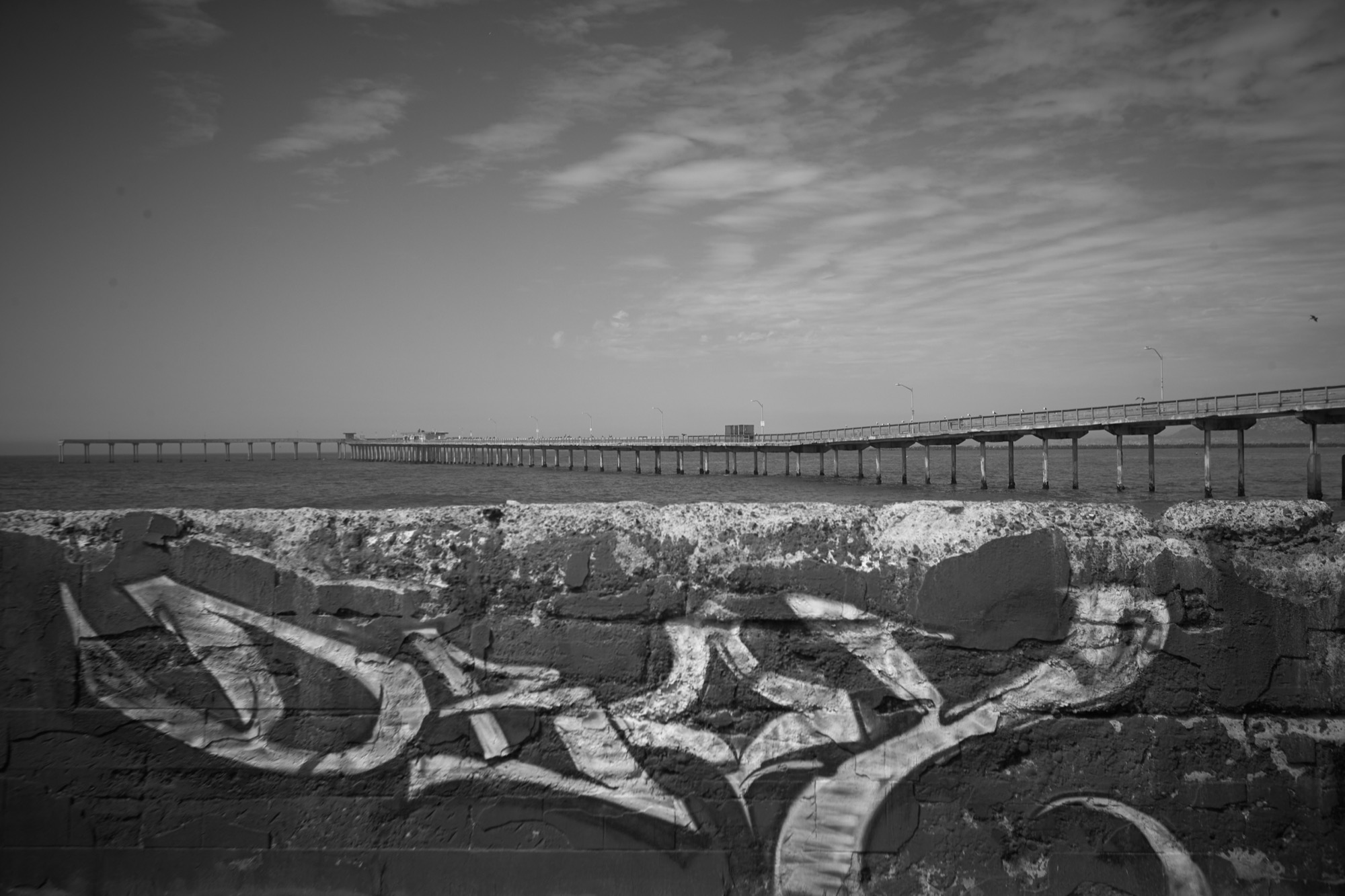 Ocean Beach - Image 21