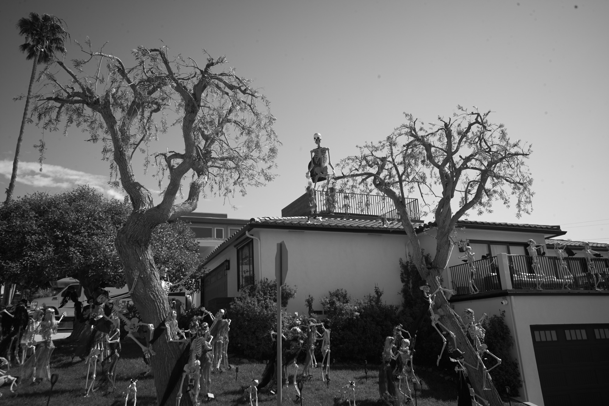 Ocean Beach - Image 45