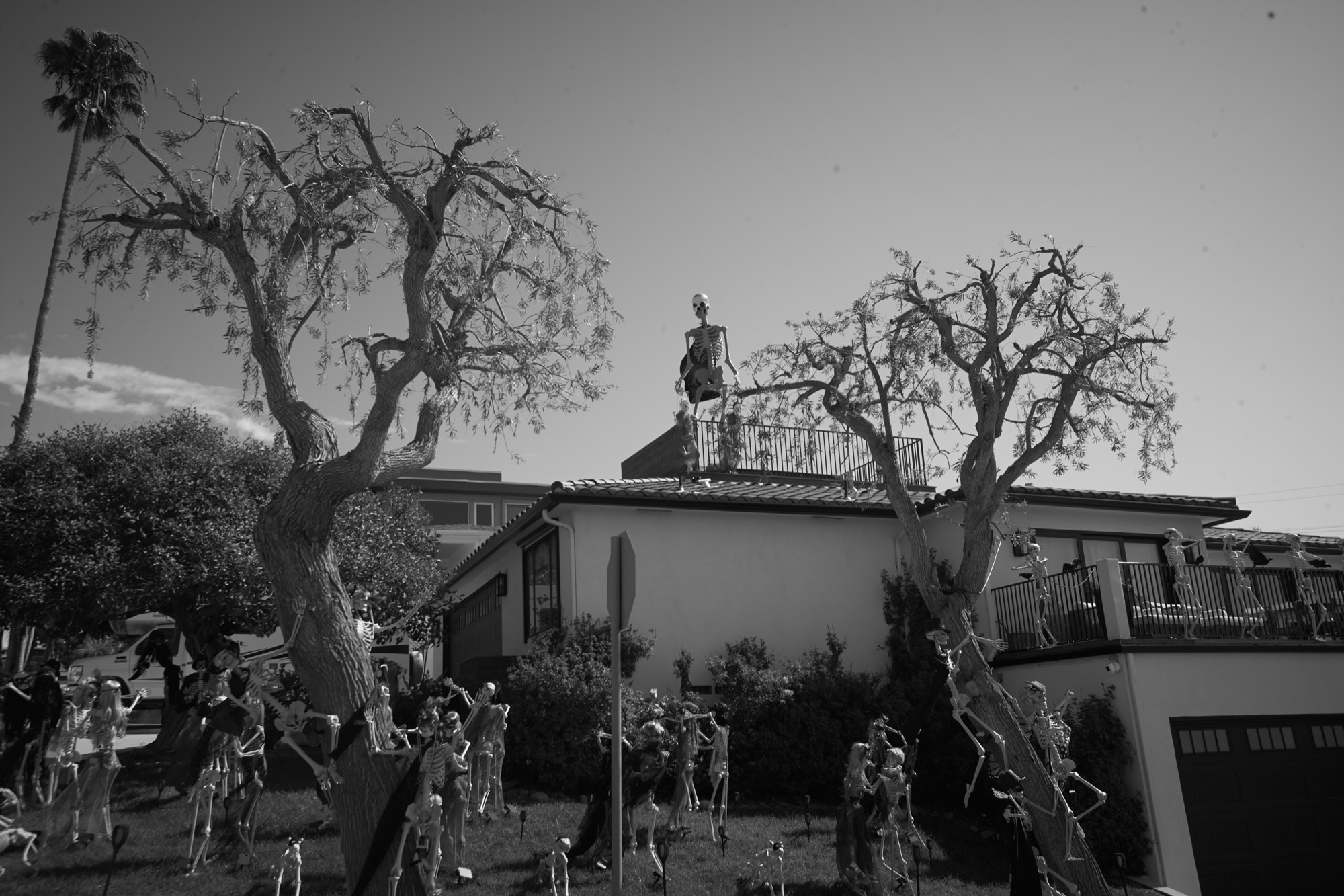 Ocean Beach - Image 46