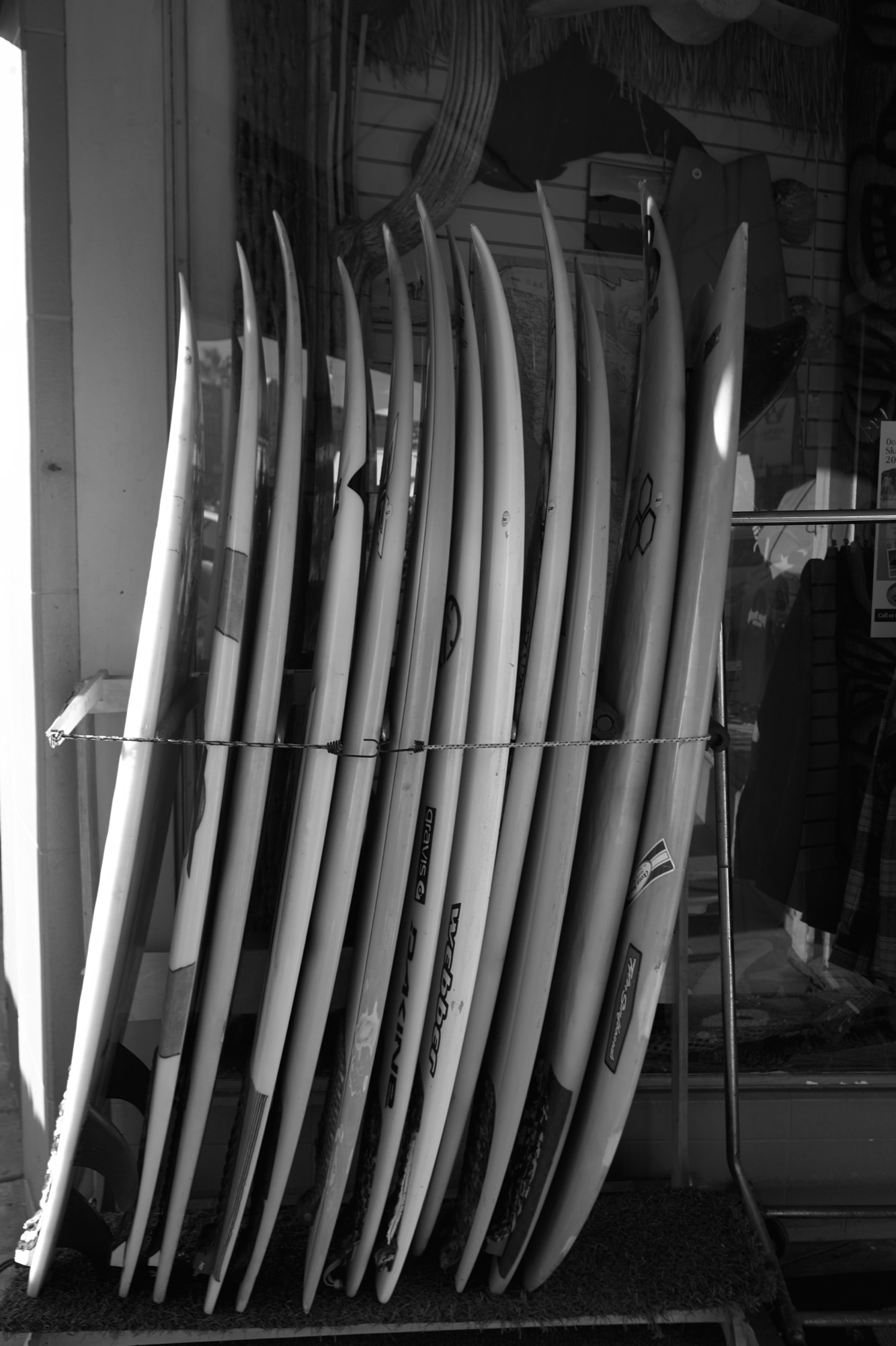 Ocean Beach - Image 55