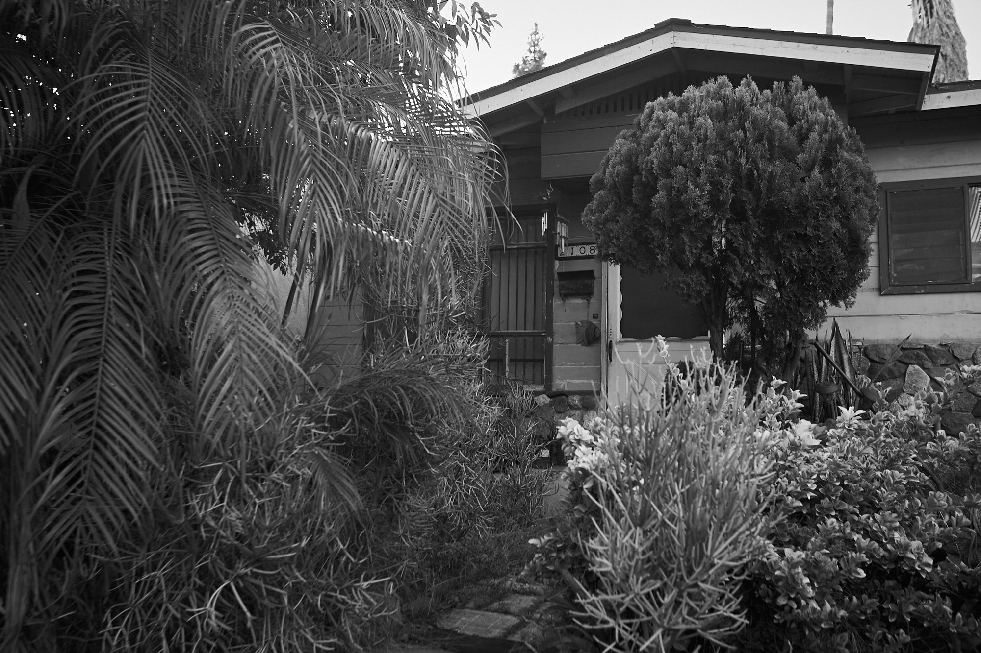 Where We Drift - Image 20