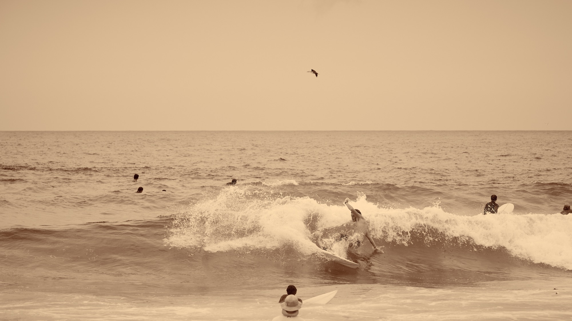 Australia B&W - Image 15