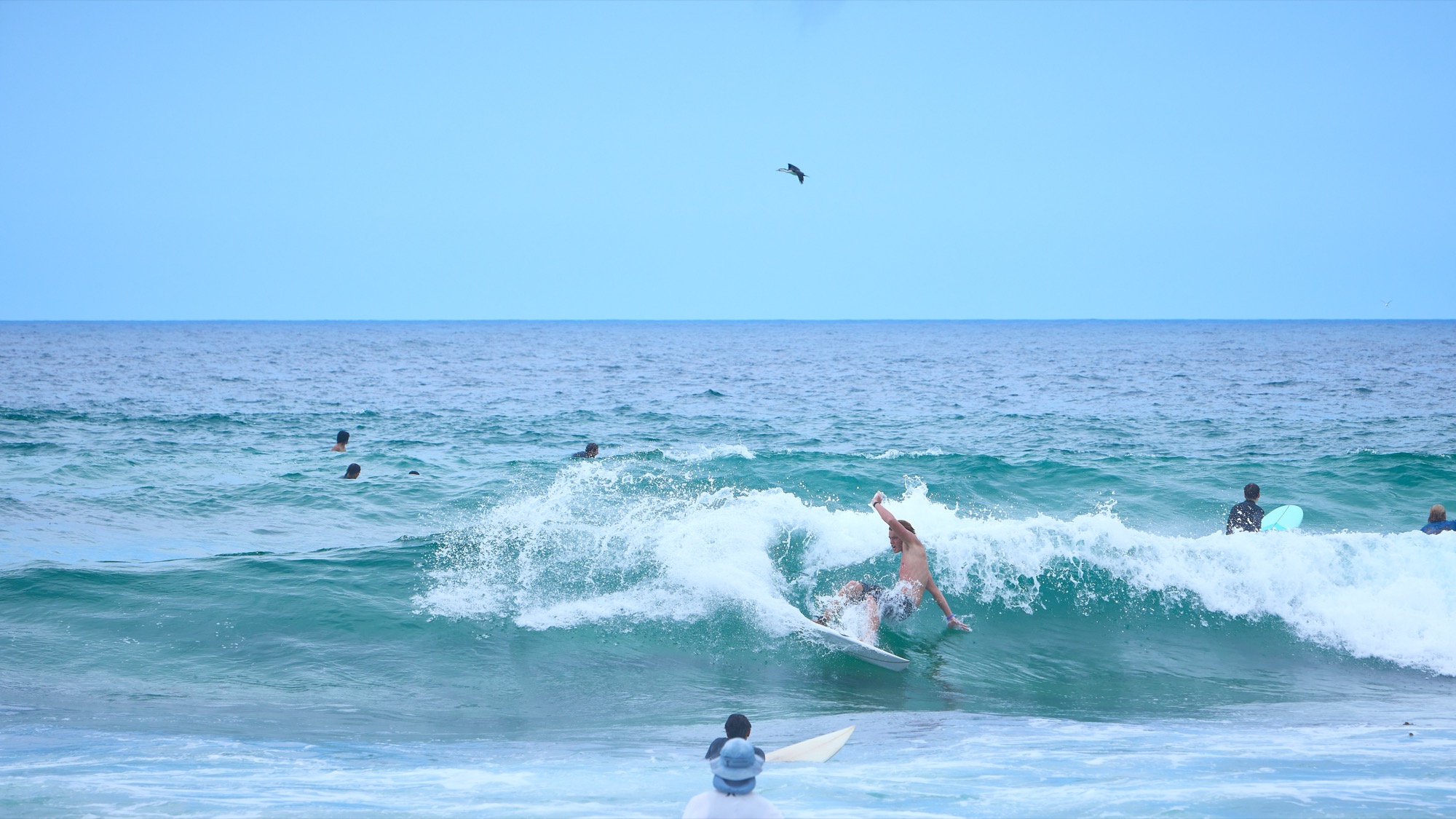 Australia Color - Image 14